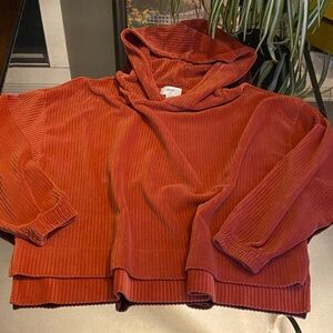 Aerie Groove-On Velour/Corduroy Loose Fitting Cropped Hoodie, Womens L